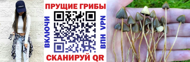Галлюциногенные грибы Cubensis  Фролово 